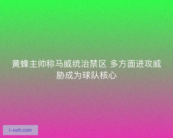黄蜂主帅称马威统治禁区 多方面进攻威胁成为球队核心