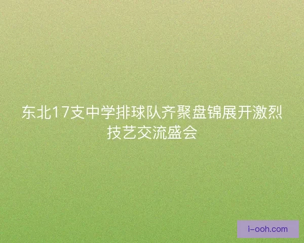 东北17支中学排球队齐聚盘锦展开激烈技艺交流盛会