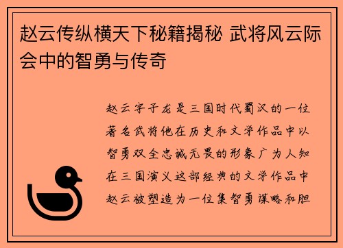赵云传纵横天下秘籍揭秘 武将风云际会中的智勇与传奇